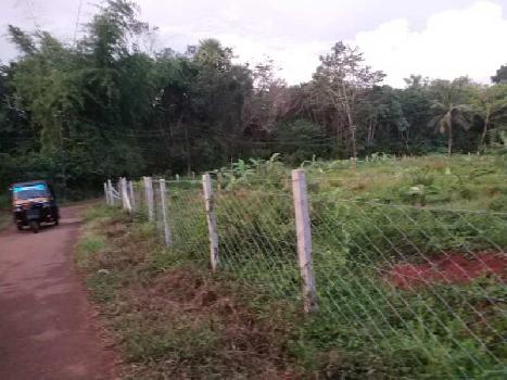 80 Cent Residential Plot For Sale In Kongad, Palakkad