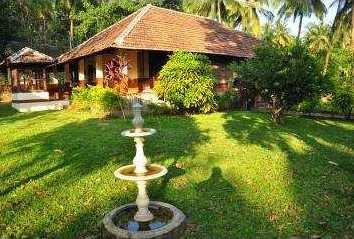 62 Cent Residential Plot for Sale in Dhoni, Palakkad