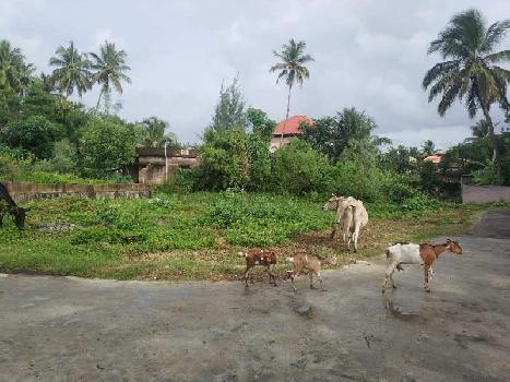 10 Cent Residential Plot for Sale in Kollengode, Palakkad