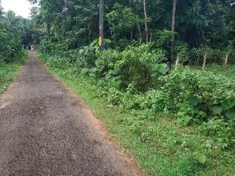 1.45 Acre Residential Plot for Sale in Velanthavalam, Palakkad