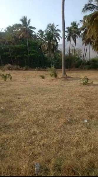 1.40 Acre Residential Plot for Sale in Velanthavalam, Palakkad