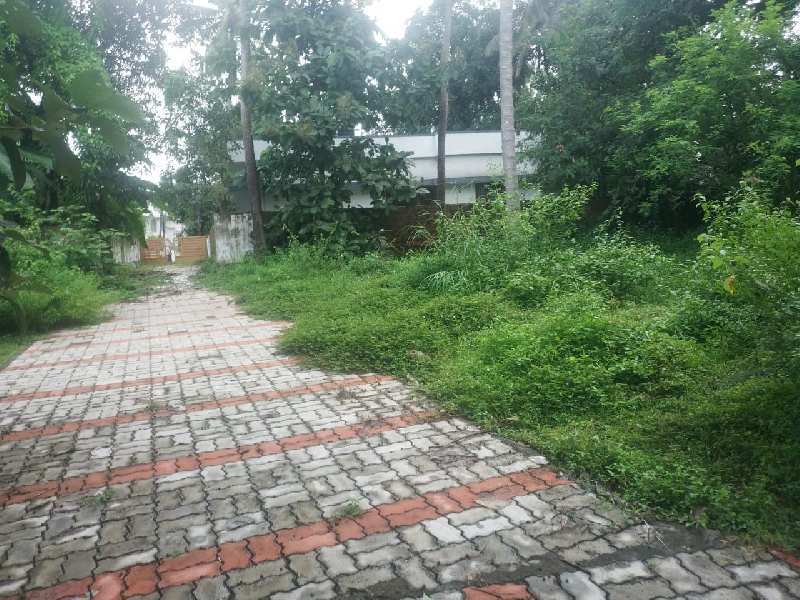 60 Cent Residential Plot for Sale in Chandranagar, Palakkad