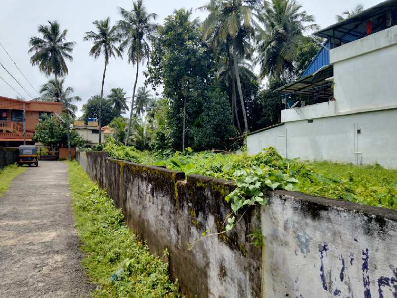 16 Cent Residential Plot for Sale in Kalpathy, Palakkad