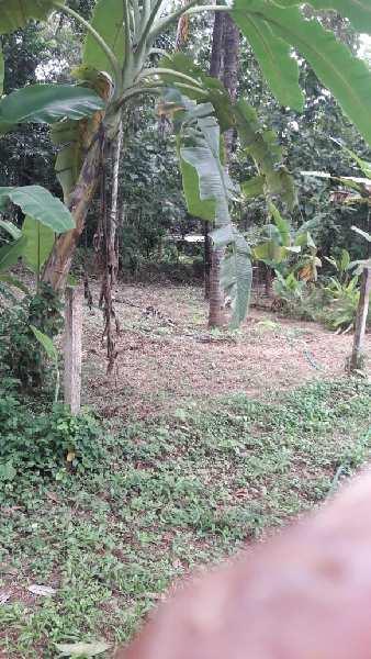 3 Acre Residential Plot for Sale in Ottapalam, Palakkad