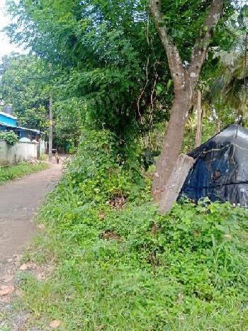 10 Cent Residential Plot for Sale in Pattambi, Palakkad