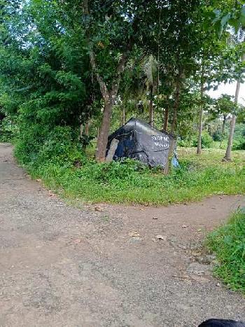 10 Acre Residential Plot for Sale in Kadampazhipuram, Palakkad