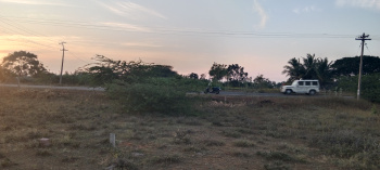 1.1 Acre Agricultural/Farm Land for Sale in Palamedu, Madurai