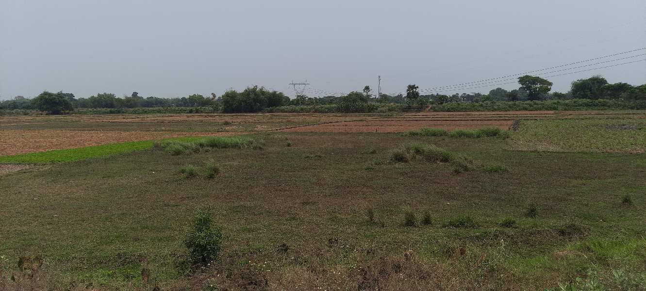 4 Bigha Industrial Land / Plot for Sale in Singur, Kolkata