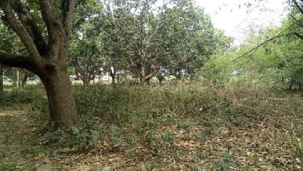 Property for sale in Court Para, Ranaghat