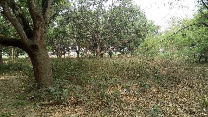 7 Bigha Commercial Lands /Inst. Land for Sale in Court Para, Ranaghat