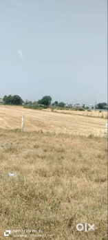 660 Sq.ft. Industrial Land / Plot for Rent in GIDC Umbergaon, Valsad