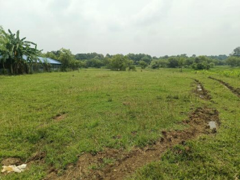 27000 Sq.ft. Industrial Land / Plot for Sale in Kalol GIDC, Vadodara