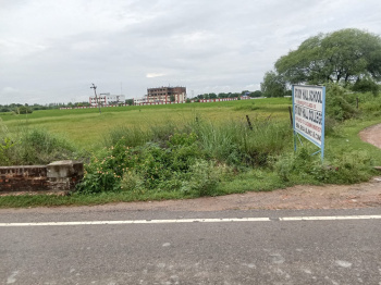 11000 Sq.ft. Industrial Land / Plot for Sale in Kalol GIDC, Vadodara