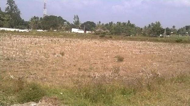 Commercial Lands /Inst. Land For Rent In Karad, Satara (8000 Sq.ft.)