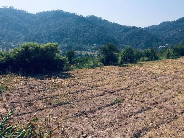 71 Bigha Commercial Lands /Inst. Land for Sale in Nalagarh, Solan