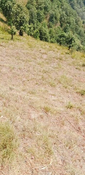 4.4 Bigha Commercial Lands /Inst. Land for Sale in Shoghi, Shimla