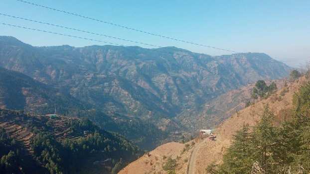 9 Bigha Agricultural/Farm Land for Sale in Theog, Shimla