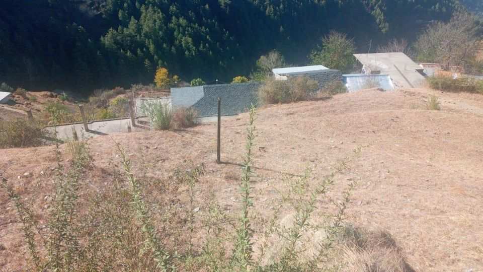9 Bigha Agricultural/Farm Land for Sale in Theog, Shimla