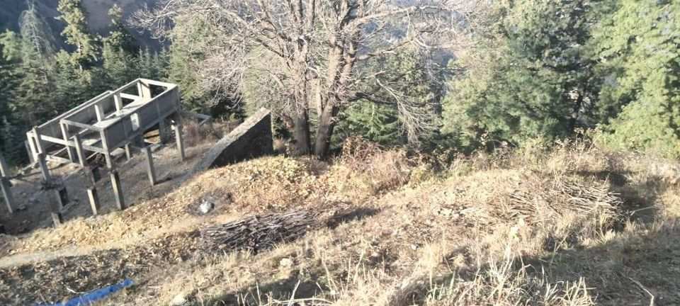 31 Biswa Agricultural/Farm Land for Sale in Naldehra, Shimla