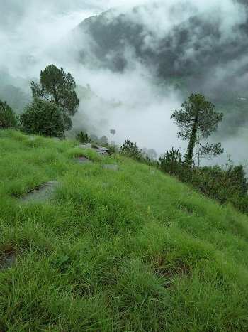 2.5 Bigha Commercial Lands /Inst. Land for Sale in Chail, Shimla