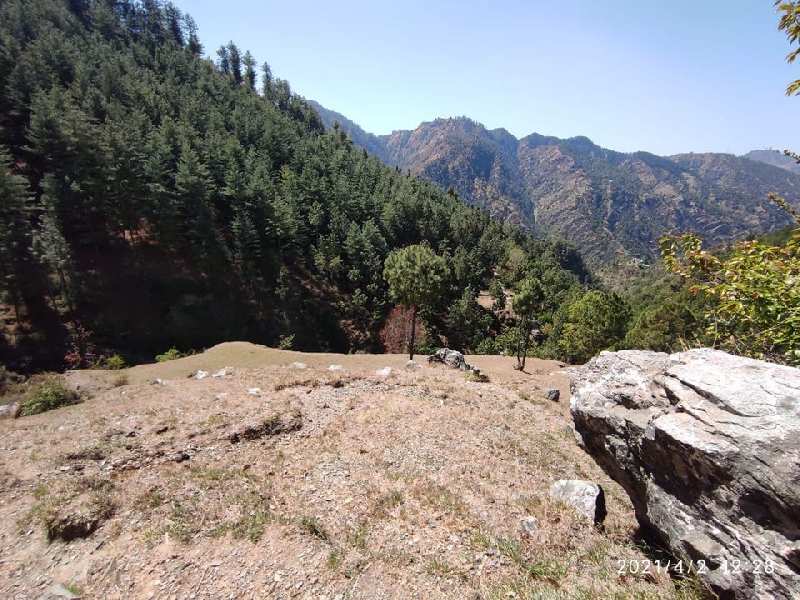 15 Bigha Commercial Lands /Inst. Land for Sale in Himachal Pradesh