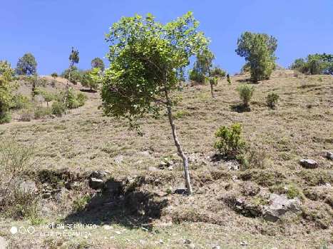 4 Bigha Commercial Lands /Inst. Land for Sale in Baldeyan, Shimla