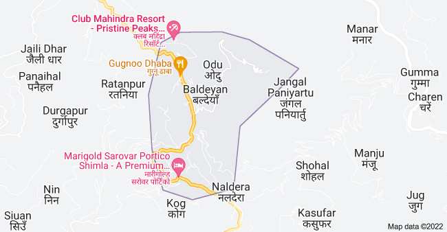 4 Bigha Commercial Lands /Inst. Land for Sale in Baldeyan, Shimla