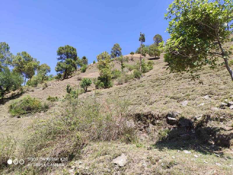 4 Bigha Commercial Lands /Inst. Land for Sale in Baldeyan, Shimla