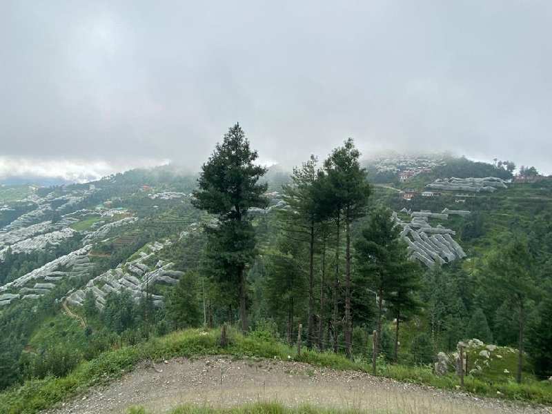 85 Biswa Commercial Lands /Inst. Land for Sale in Shimla