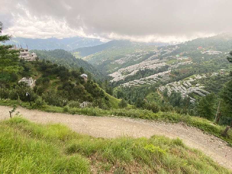 85 Biswa Commercial Lands /Inst. Land for Sale in Shimla