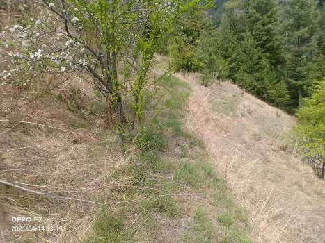 Property for sale in Theog, Shimla
