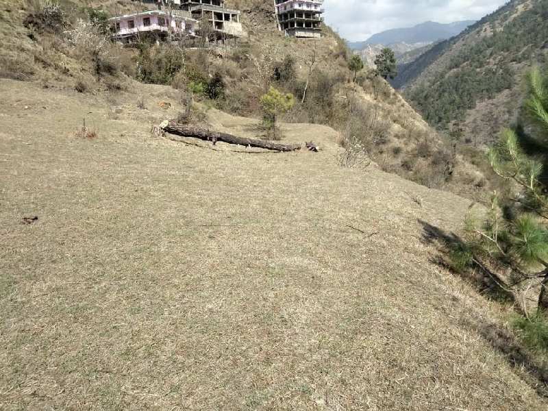 17 Bigha Commercial Lands /Inst. Land for Sale in Mehli, Shimla