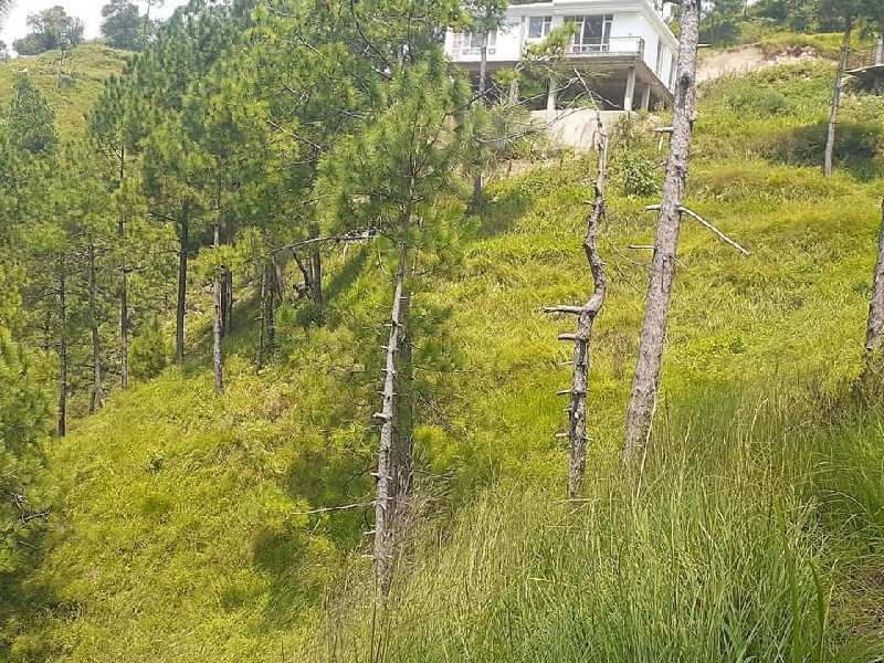 13 Bigha Agricultural/Farm Land for Sale in New Shimla, Shimla