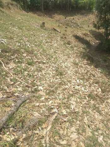10 Biswa Commercial Lands /Inst. Land for Sale in Chail, Shimla