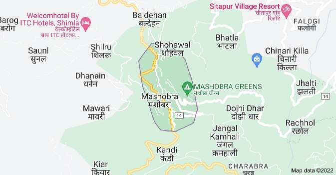 3 Bigha Agricultural/Farm Land for Sale in Mashobra, Shimla