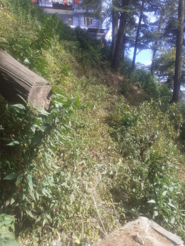 5 Biswa Commercial Lands /Inst. Land for Sale in Chotta Shimla, Shimla