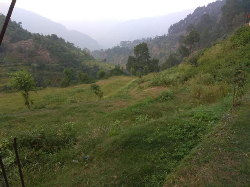 8 Biswa Commercial Lands /Inst. Land for Sale in Sanjauli, Shimla