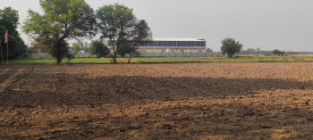 500 Sq. Yards Industrial Land / Plot for Sale in Ghanaur, Patiala