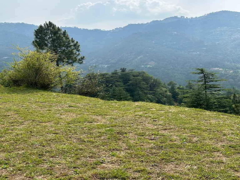 2 Bigha Commercial Lands /Inst. Land for Sale in Mashobra, Shimla