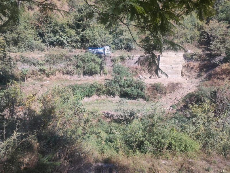 25 Biswa Commercial Lands /Inst. Land for Sale in Chail, Solan