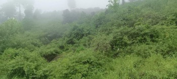21 Biswa Commercial Lands /Inst. Land for Sale in Himachal Pradesh