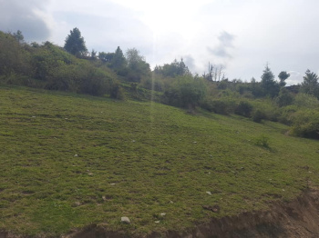 26 Bigha Agricultural/Farm Land for Sale in Tutikandi, Shimla