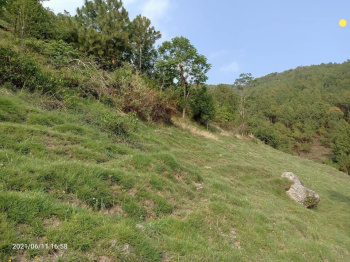 Commercial Lands /Inst. Land for Sale in Naldehra, Shimla (3.25 Bigha)