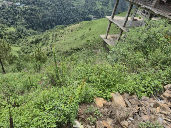 5.5 Biswa Residential Plot for Sale in Ragyan, Shimla