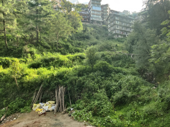 Residential Plot for Sale in Summer Hill, Shimla (10 Biswa)