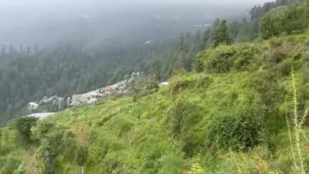 8 Biswa Residential Plot for Sale in Kufri, Shimla
