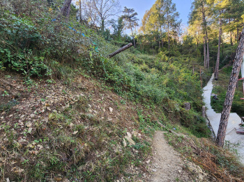 Commercial Lands /Inst. Land for Sale in Tutikandi, Shimla (29 Biswa)