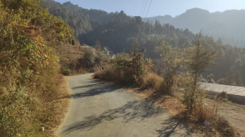 Residential Plot for Sale in Hira Nagar, Shimla (14 Biswa)