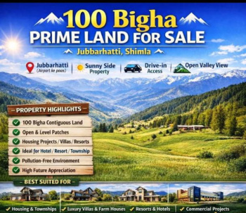 100 Bigha Commercial Lands /Inst. Land for Sale in Jubbal, Shimla