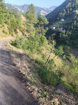 32 Biswa Residential Plot for Sale in Bhagtan, Shimla